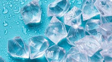frozen foods